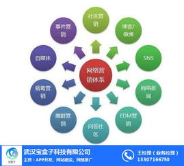 漢陽網絡推廣全攻略 武漢寶盒子科技的專業服務解析